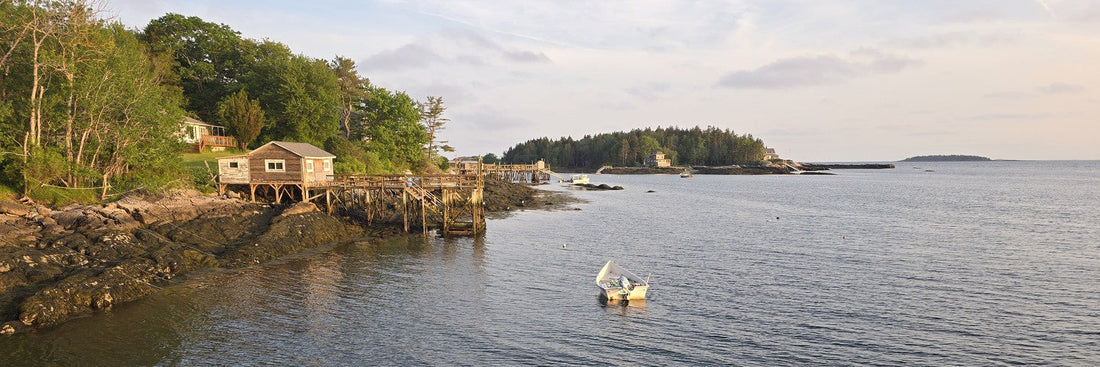 What Is a Seaweed Biostimulant? (And Why It's Not Fertilizer)