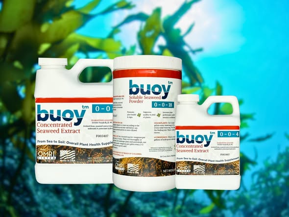 buoy™ Concentrated Seaweed Extract 0-0-4