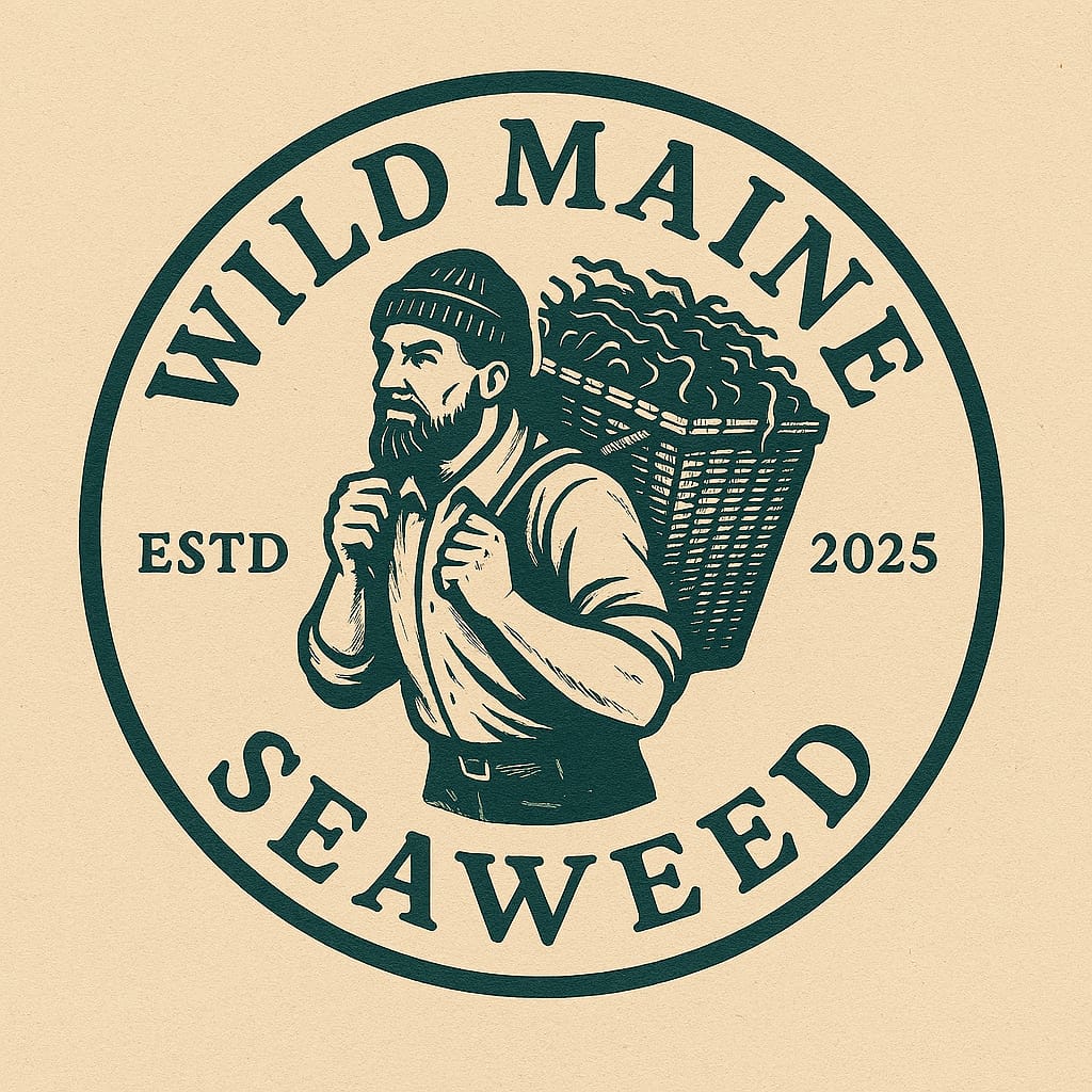 Wild Maine Seaweed