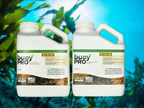 buoy™ PRO Soluble Seaweed Powder 0-0-18
